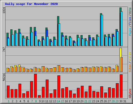 Daily usage for November 2020