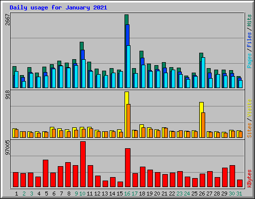 Daily usage for January 2021