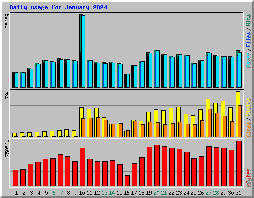 Daily usage for January 2024