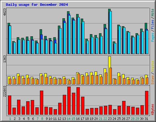 Daily usage for December 2024