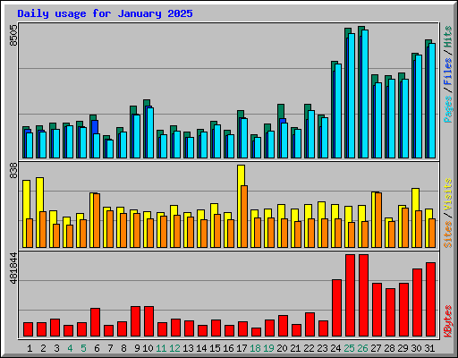 Daily usage for January 2025