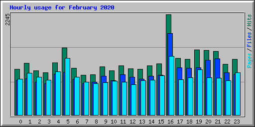 Hourly usage for February 2020