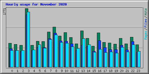 Hourly usage for November 2020