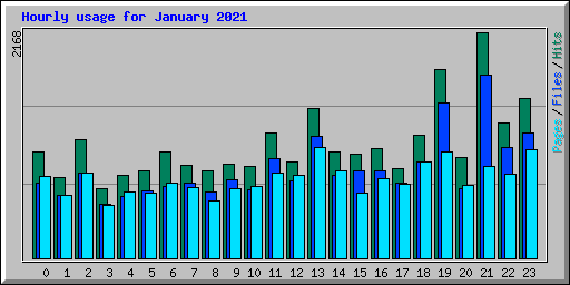 Hourly usage for January 2021