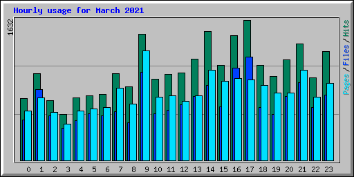 Hourly usage for March 2021