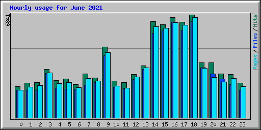 Hourly usage for June 2021