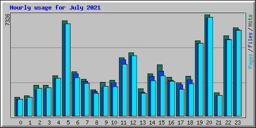 Hourly usage for July 2021