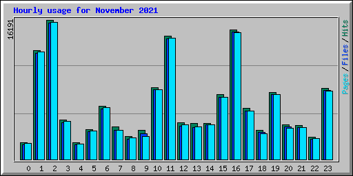 Hourly usage for November 2021