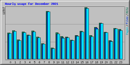 Hourly usage for December 2021