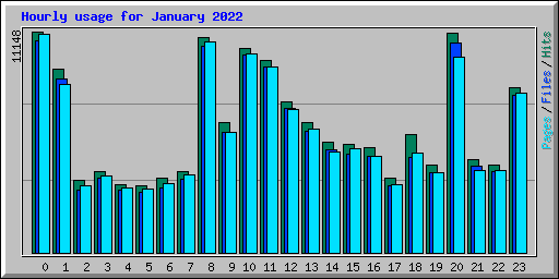 Hourly usage for January 2022