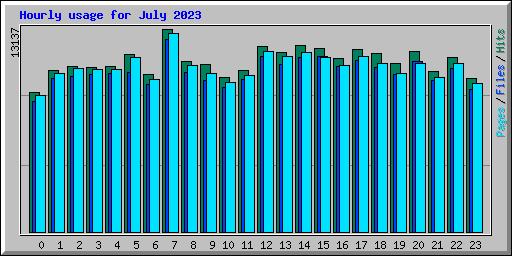Hourly usage for July 2023