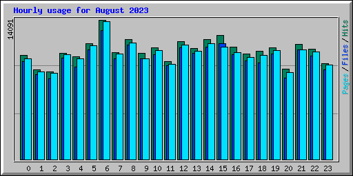 Hourly usage for August 2023