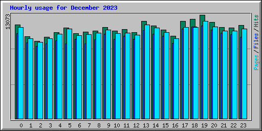 Hourly usage for December 2023
