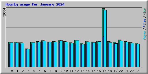 Hourly usage for January 2024