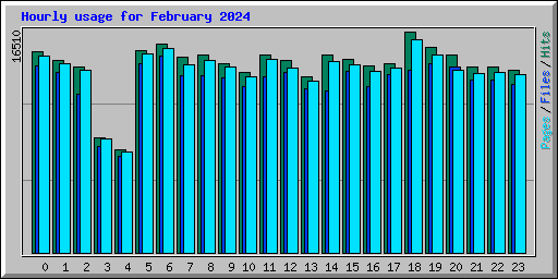Hourly usage for February 2024