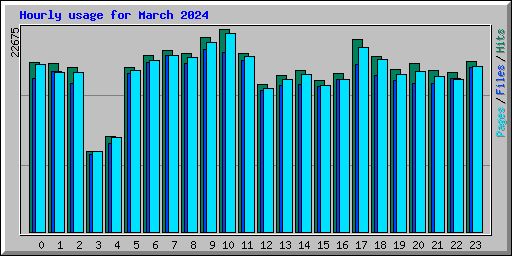 Hourly usage for March 2024