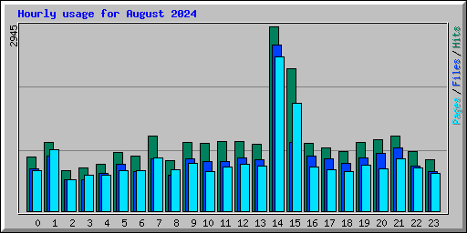 Hourly usage for August 2024