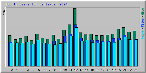 Hourly usage for September 2024