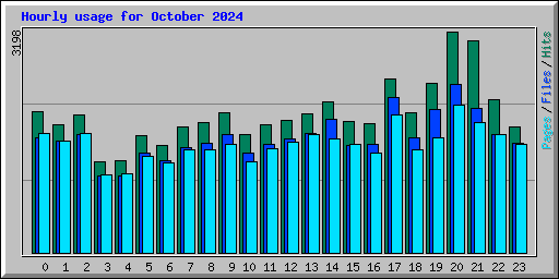 Hourly usage for October 2024