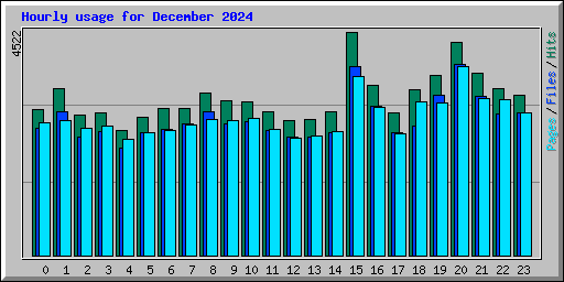 Hourly usage for December 2024