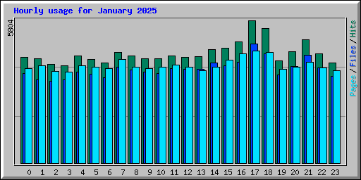 Hourly usage for January 2025