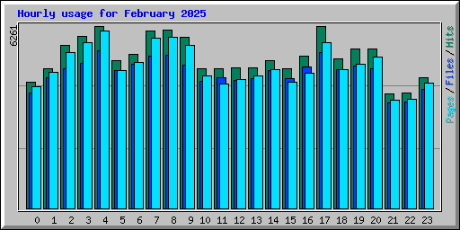 Hourly usage for February 2025