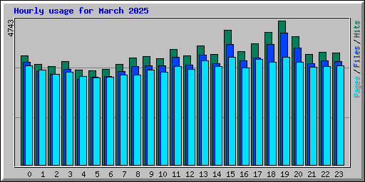 Hourly usage for March 2025