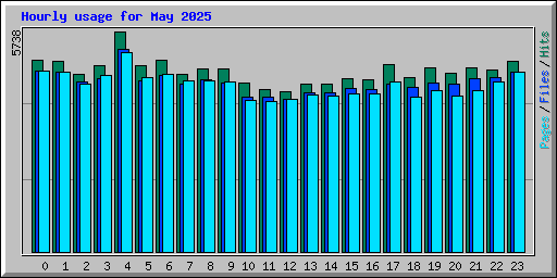 Hourly usage for May 2025