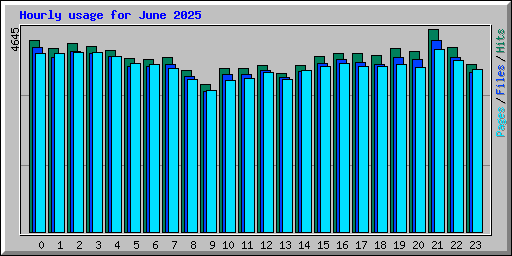 Hourly usage for June 2025