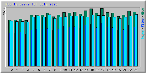 Hourly usage for July 2025