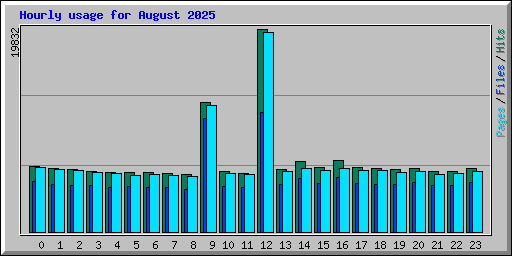 Hourly usage for August 2025