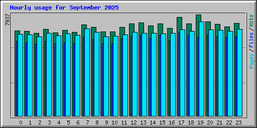 Hourly usage for September 2025