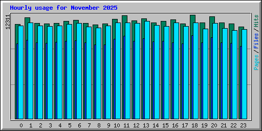 Hourly usage for November 2025