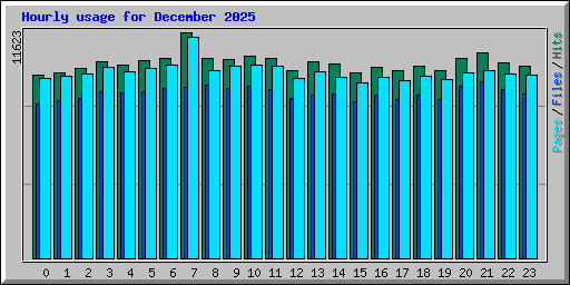 Hourly usage for December 2025