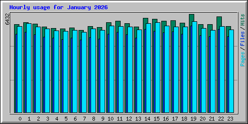 Hourly usage for January 2026