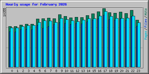 Hourly usage for February 2026