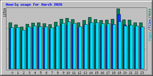 Hourly usage for March 2026