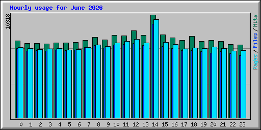 Hourly usage for June 2026