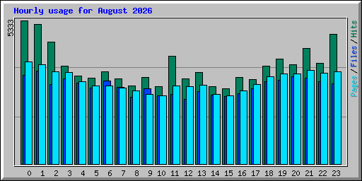 Hourly usage for August 2026
